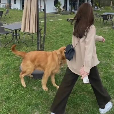 蒂奇伯恩的索赔