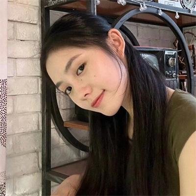 高速路上一只猫